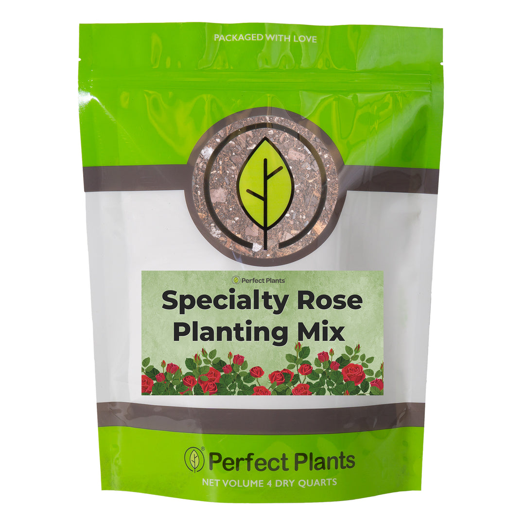 best rose plant fertilizer Shop Rose Soil Mix | Buy Soil for Roses