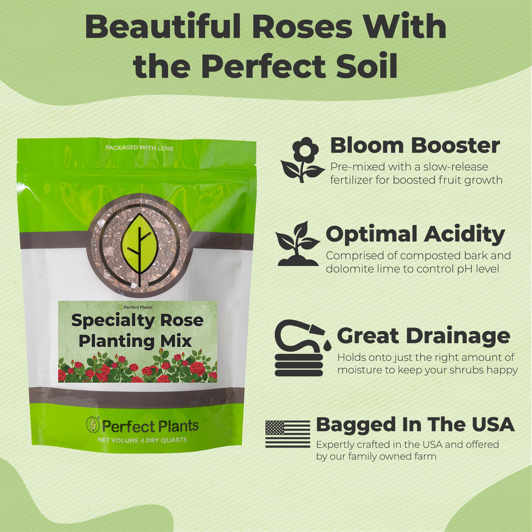 rose potting mix Shop Rose Soil Mix | Buy Soil for Roses