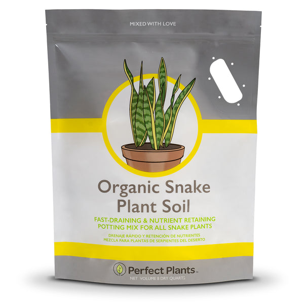 snake plant repotting soil Snake Plant Soil Mix - 4 Quart
