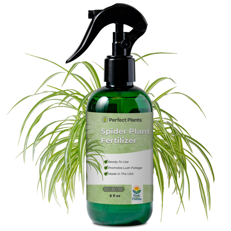 plant fertilizer sprayer Spider Plant Fertilizer Spray - 8 fl oz