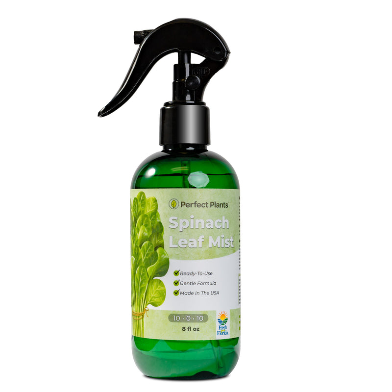fertilizer for spinach plants Spinach Fertilizer Mist