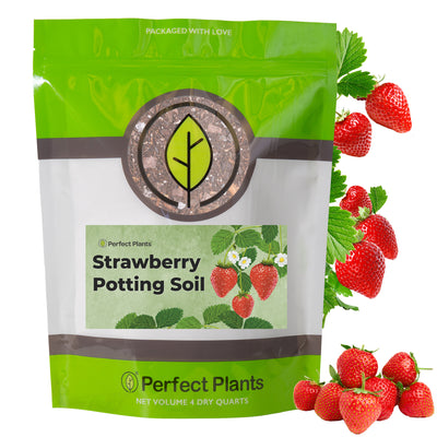 Potting Soil for Strawberries
