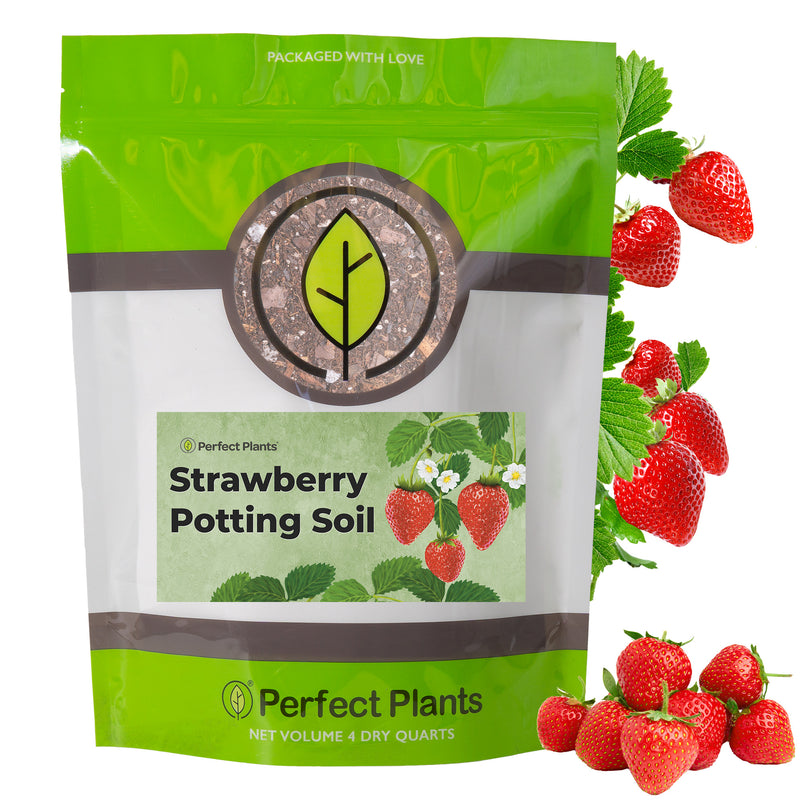 Potting Soil for Strawberries