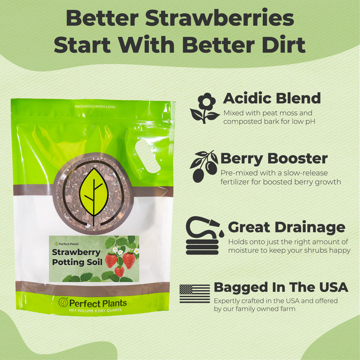 best potting soil for strawberry plants Peace Lily Potting Soil - 4 Quart