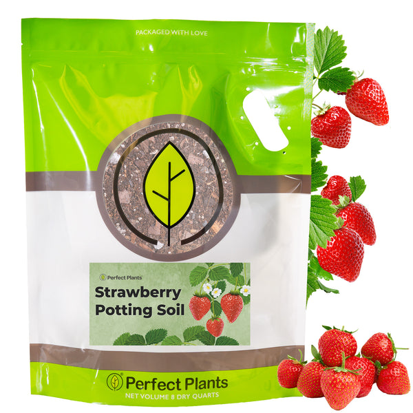 Peace Lily Potting Soil - 4 Quart