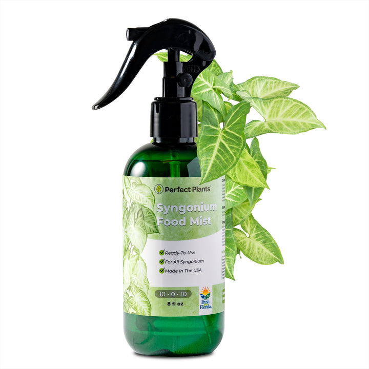 fertilizer for syngonium plant Syngonium Fertilizer Mist - 8 fl oz