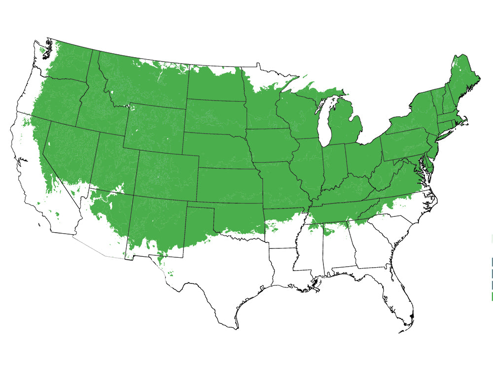 map-img
