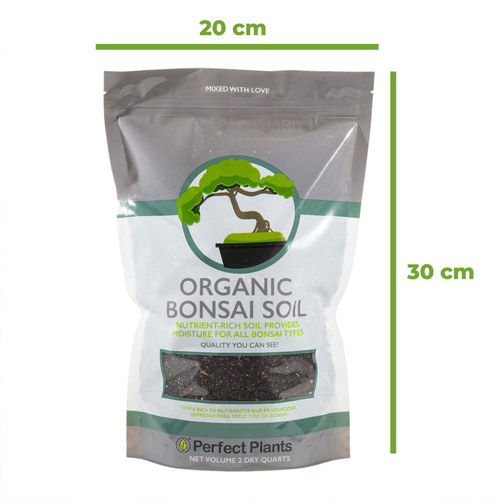 bonsai tree supplies near me Buy Bonsai Tree Kit for Sale | Soil + Fertilizer Included