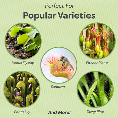 Carnivorous Plant Fertilizer Spray