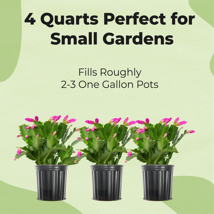 Buy Christmas Cactus Potting Soil for Sale