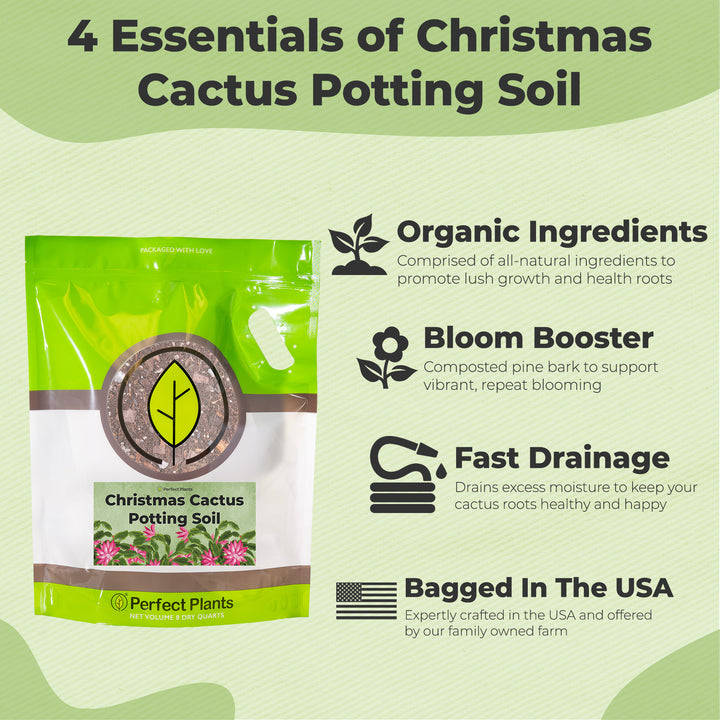 best potting mix for christmas cactus Buy Christmas Cactus Potting Soil for Sale