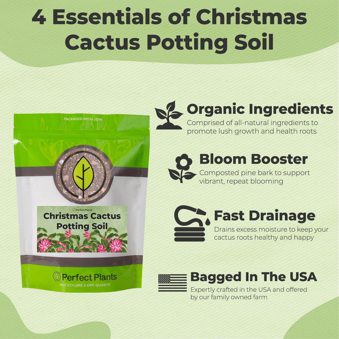 cactus potting soil ingredients Buy Christmas Cactus Potting Soil for Sale