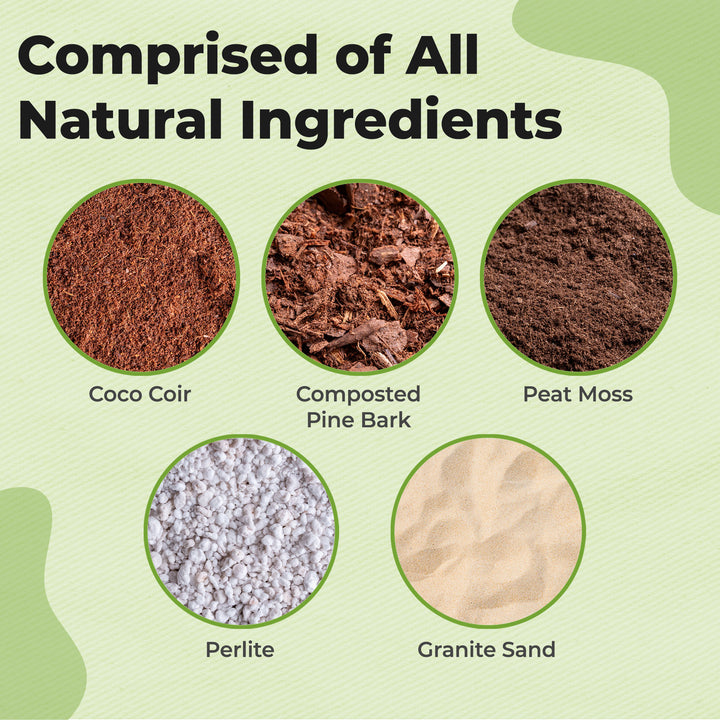 potting soil for thanksgiving cactus Buy Christmas Cactus Potting Soil for Sale
