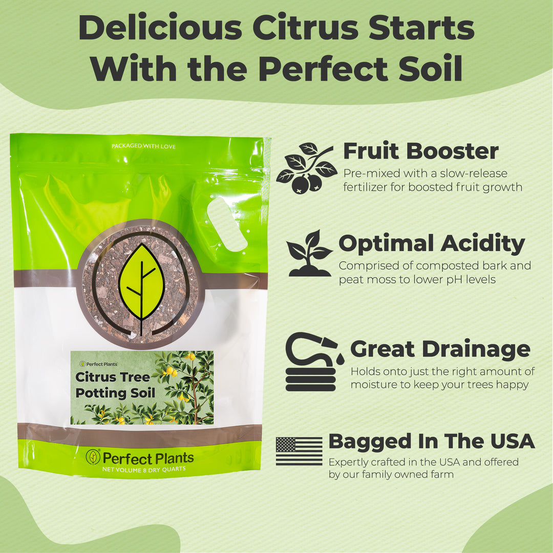 Buy Citrus Potting Soil for Sale