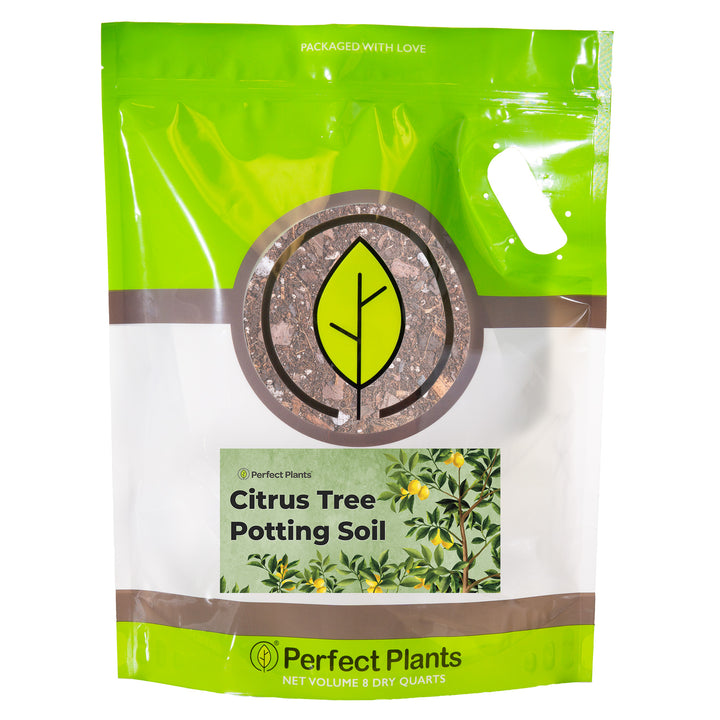 lemon potting mix Buy Citrus Potting Soil for Sale