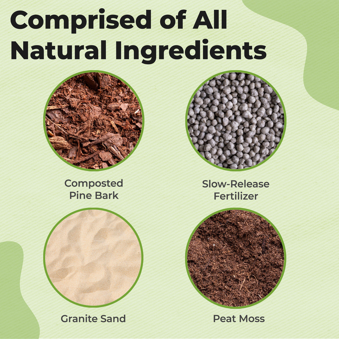 citrus tree potting mix Citrus Potting Soil