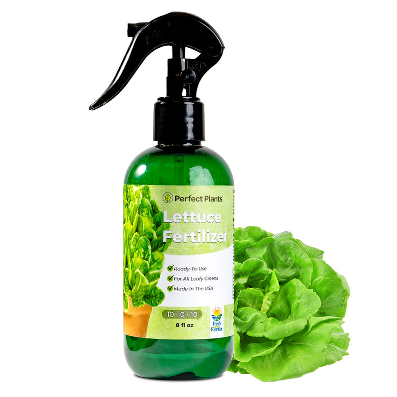 Lettuce Fertilizer