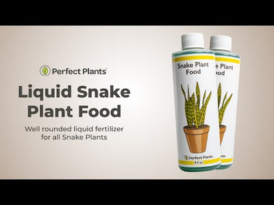 Liquid Snake Plant Fertilizer