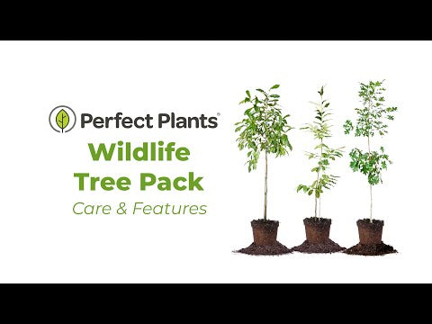 Wildlife Plant Variety Pack