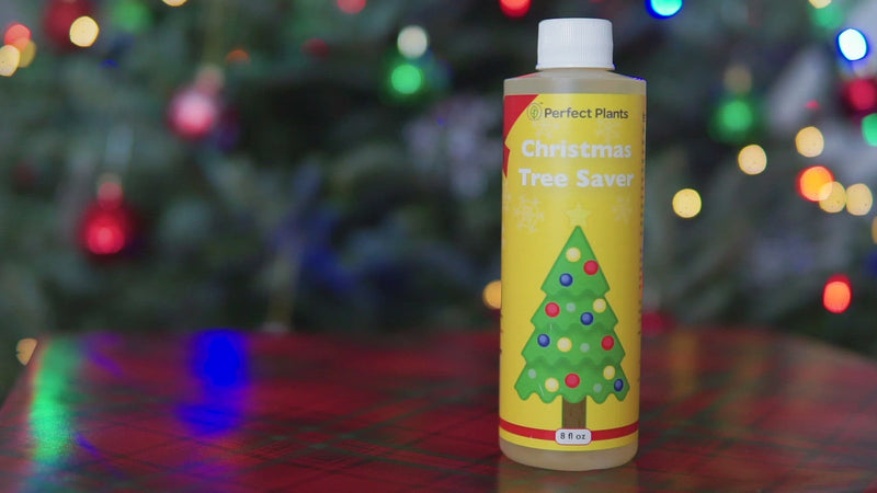 video describing how to use Perfect Plants Christmas Tree Saver cut tree preservative