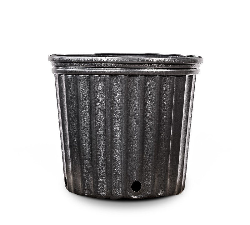 plastic plant holders 3 Gallon Plastic Plant Pots - 24 COUNT