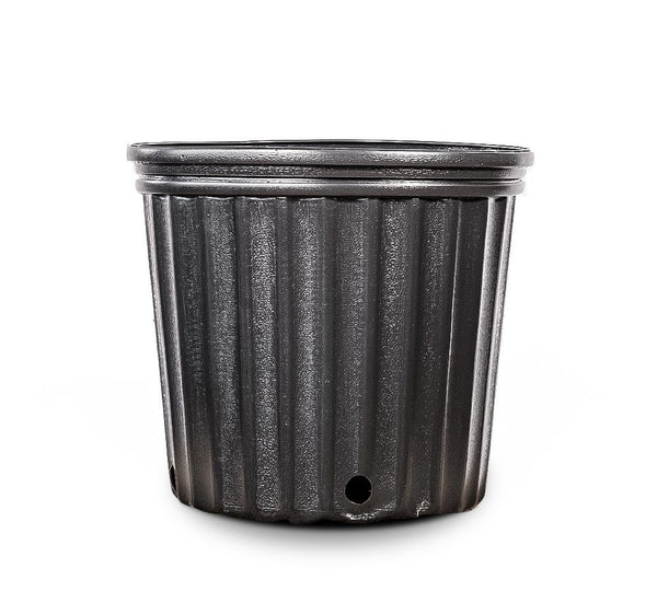 3 litre plastic plant pots 3 Gallon Plastic Plant Pots - 24 COUNT