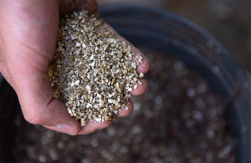Organic Vermiculite for Plants