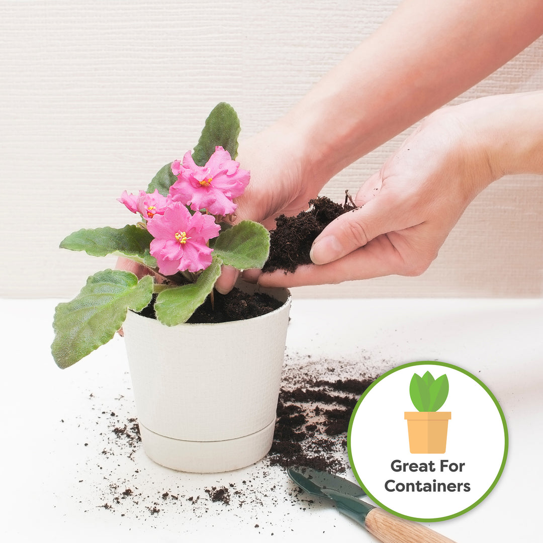 can i use african violet soil for succulents Buy Hand Mixed African Violet Soil Mix for Sale