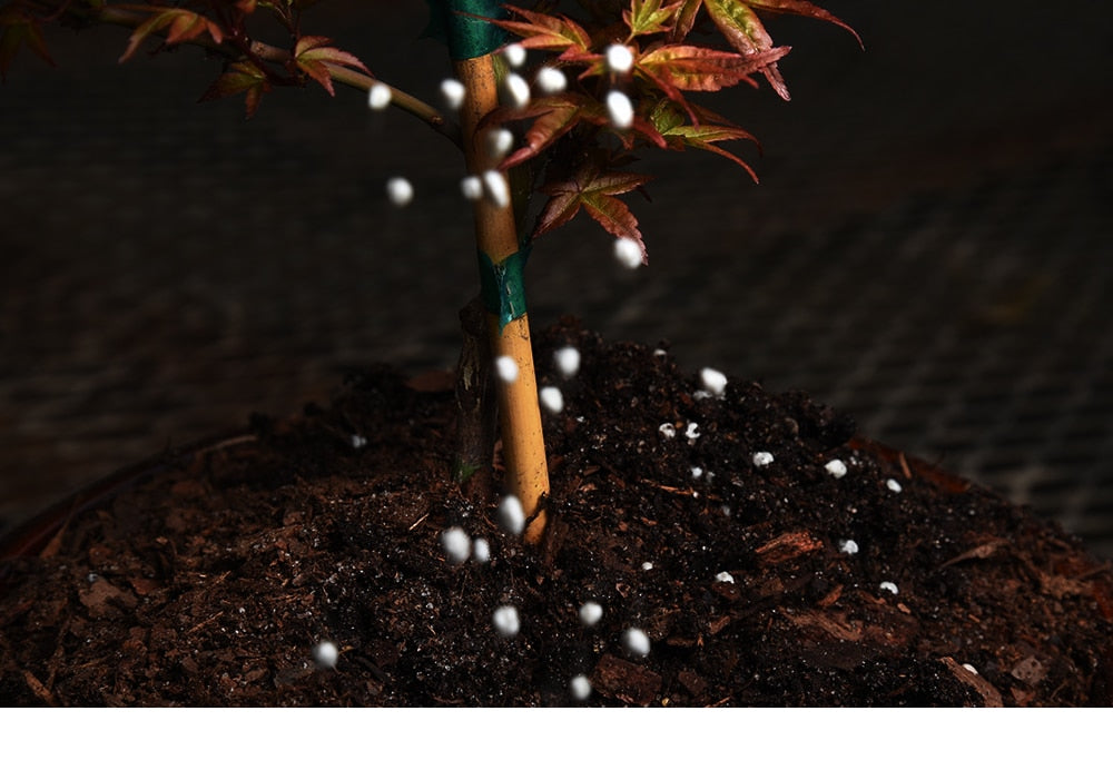 Perlite Pellet Configure Nutriment Sol Plante, Pépinière Respirant, Support  de Sol pour Jardin, Bonsaï, 50g, 0,5 L
