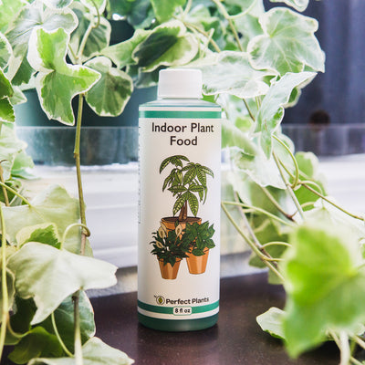 Liquid Fertilizer for Indoor Plants