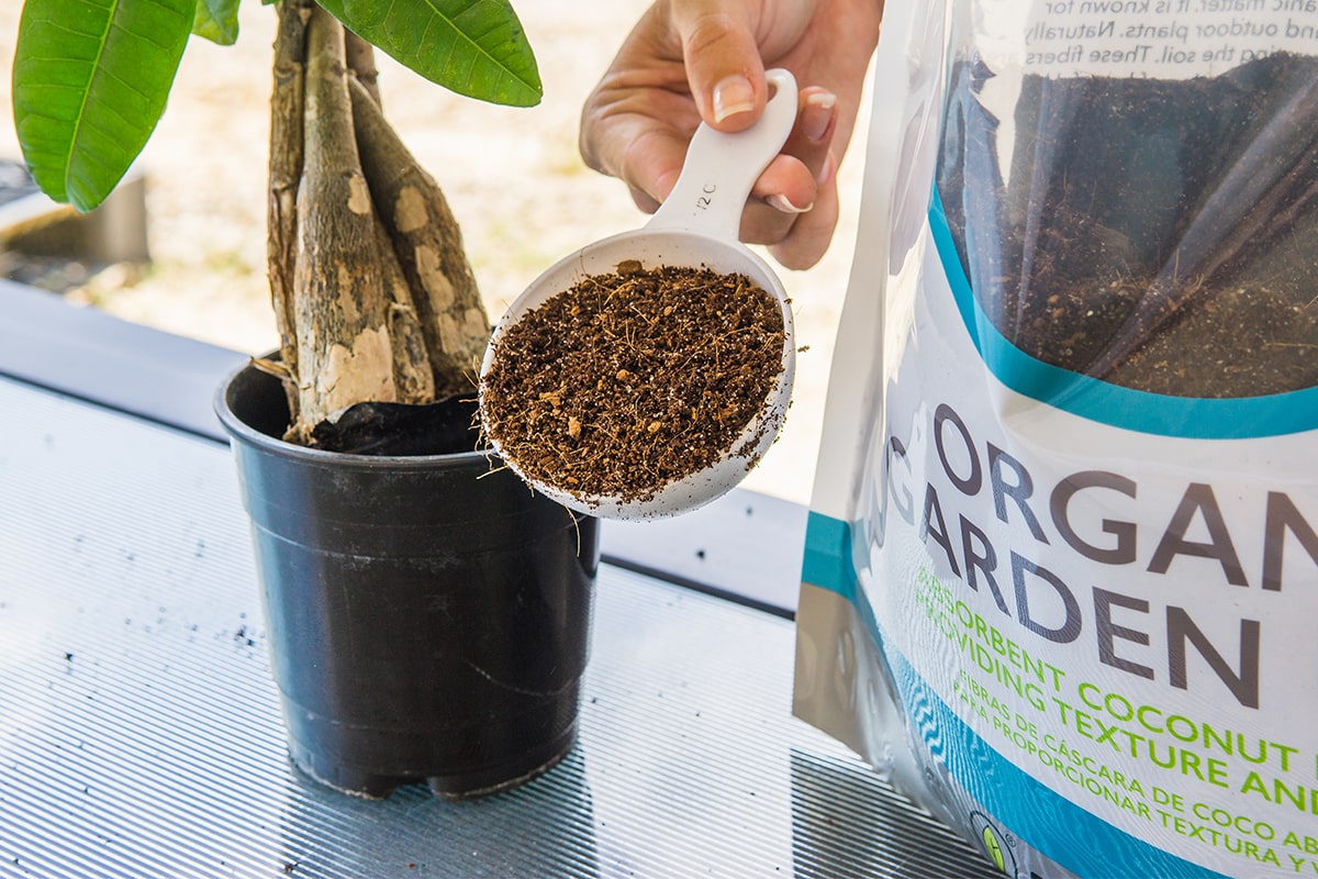 100% Organic coconut coir for plants