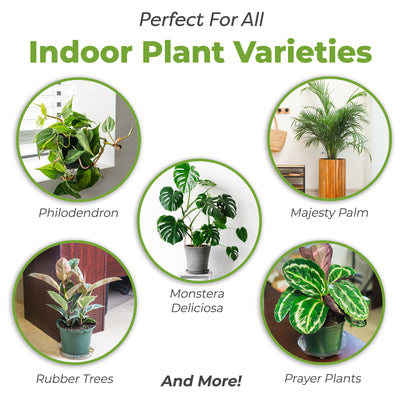 Indoor Plant Soil Mix