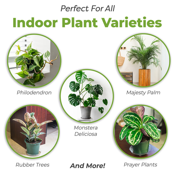 indoor plants order Indoor Plant Soil Mix - 8 quarts