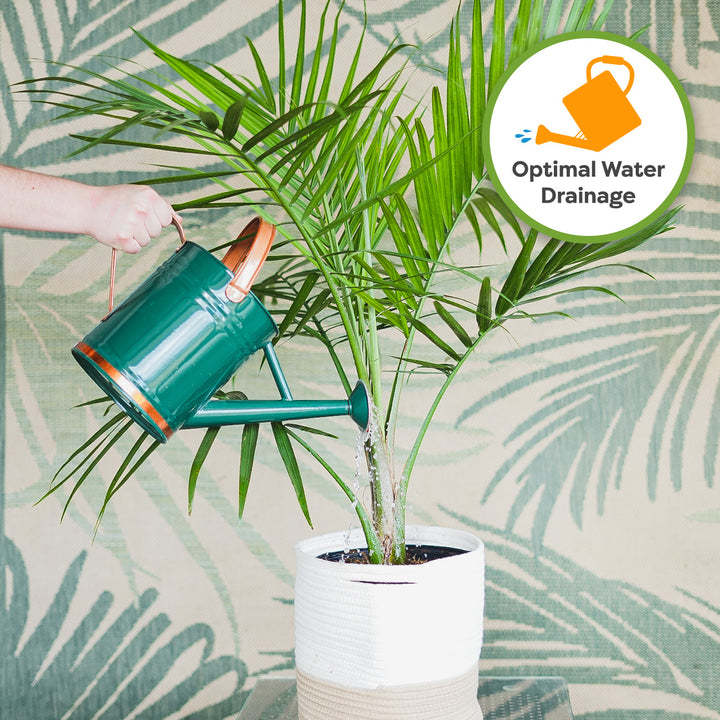 sterile potting soil for indoor plants Indoor Plant Soil Mix - 8 quarts