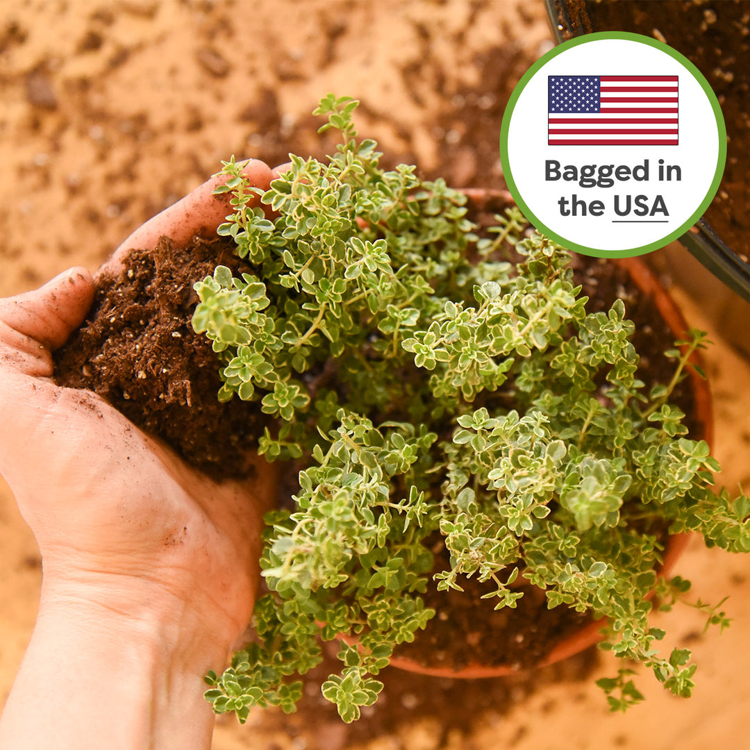 best potting mixture for indoor plants Indoor Plant Soil Mix - 8 quarts