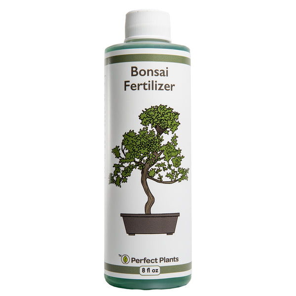ficus bonsai tree fertilizer Buy Liquid Bonsai Fertilizer for Sale