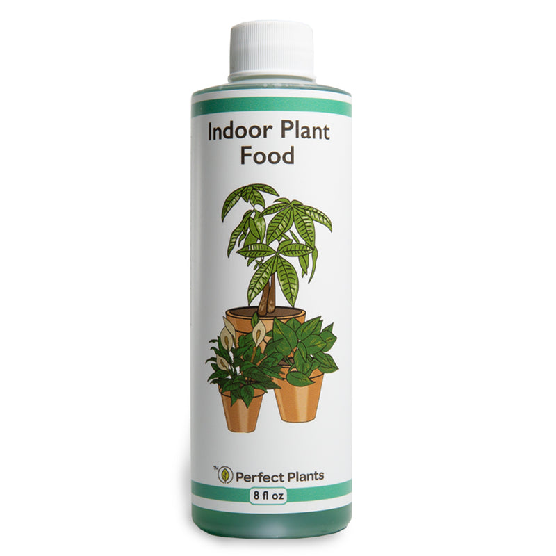 do i need fertilizer for indoor plants Liquid Houseplant Fertilizer - 8 fl oz