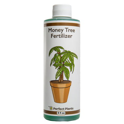 Liquid Money Tree Fertilizer