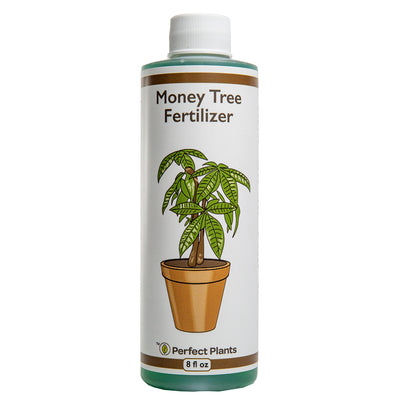 which fertilizer is good for jasmine plant Liquid Jasmine Fertilizer - 8 fl oz