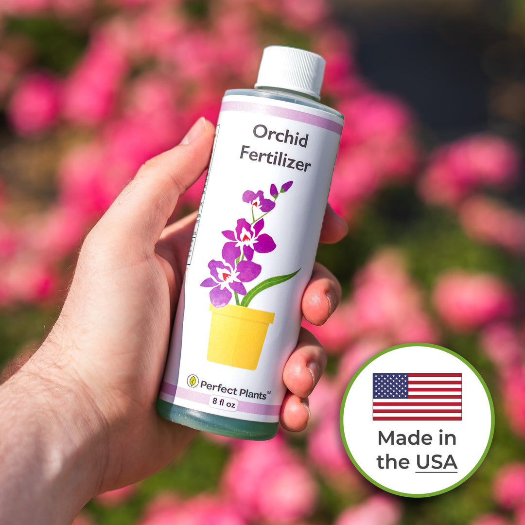 plant fertilizer for orchids Liquid Orchid Fertilizer
