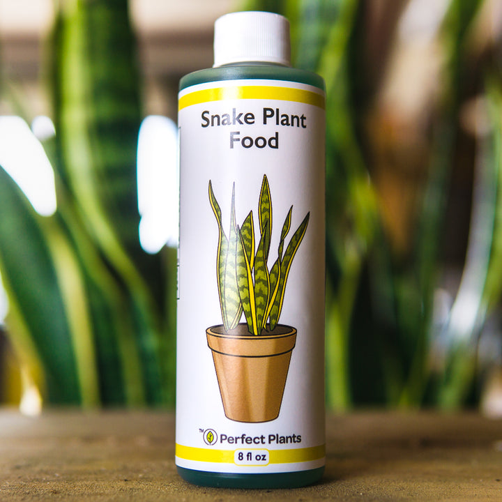 Fertilizer for Snake Plant - 8 fl oz
