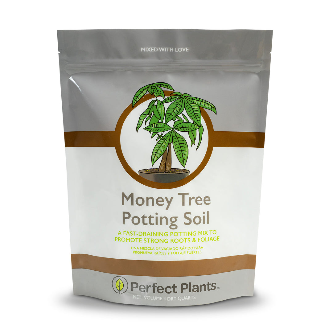 Money Tree Soil Mix - 4 Quart
