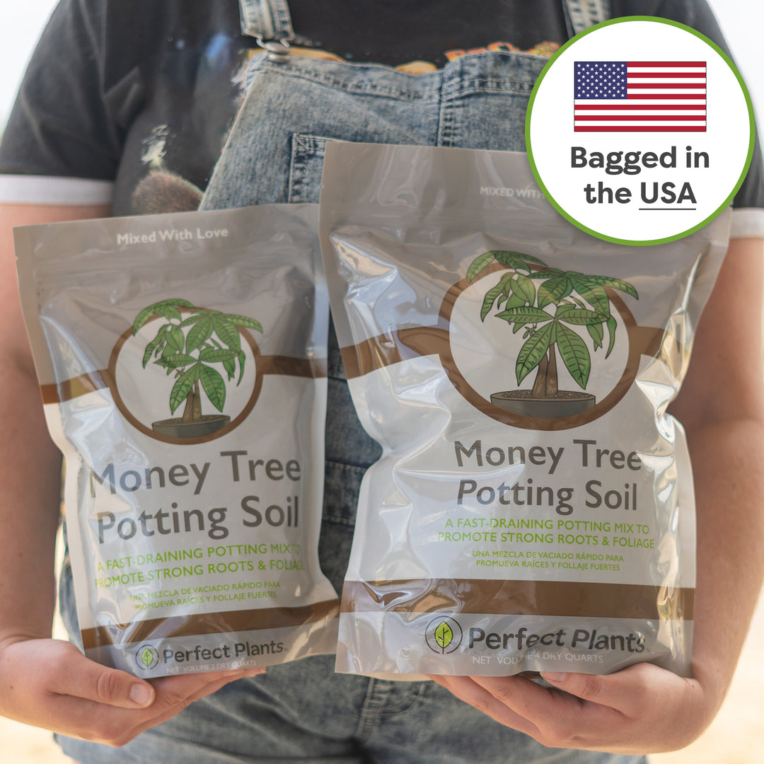 money tree soil mix Money Tree Soil Mix - 4 Quart