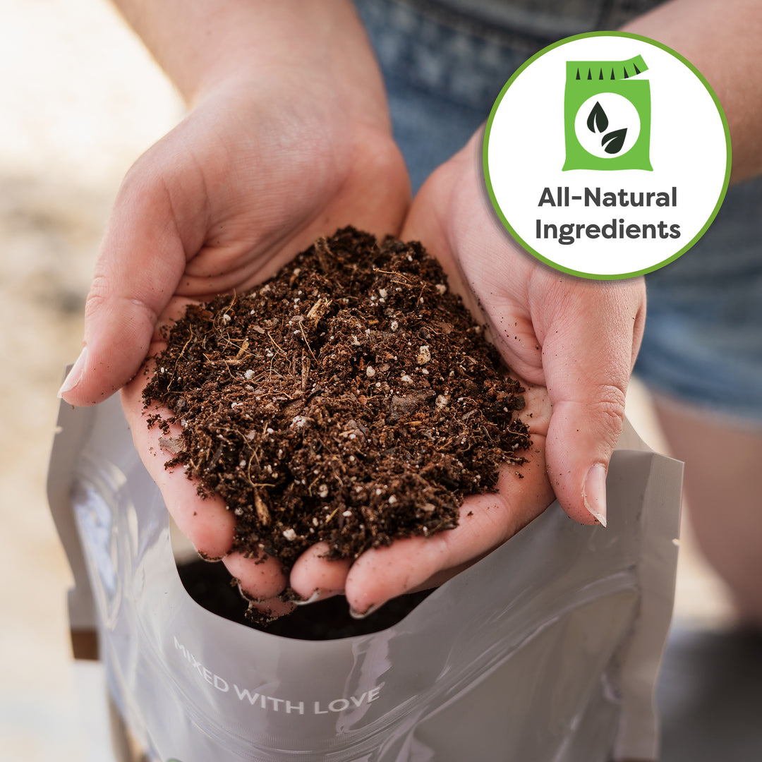Money Tree Soil Mix - 4 Quart