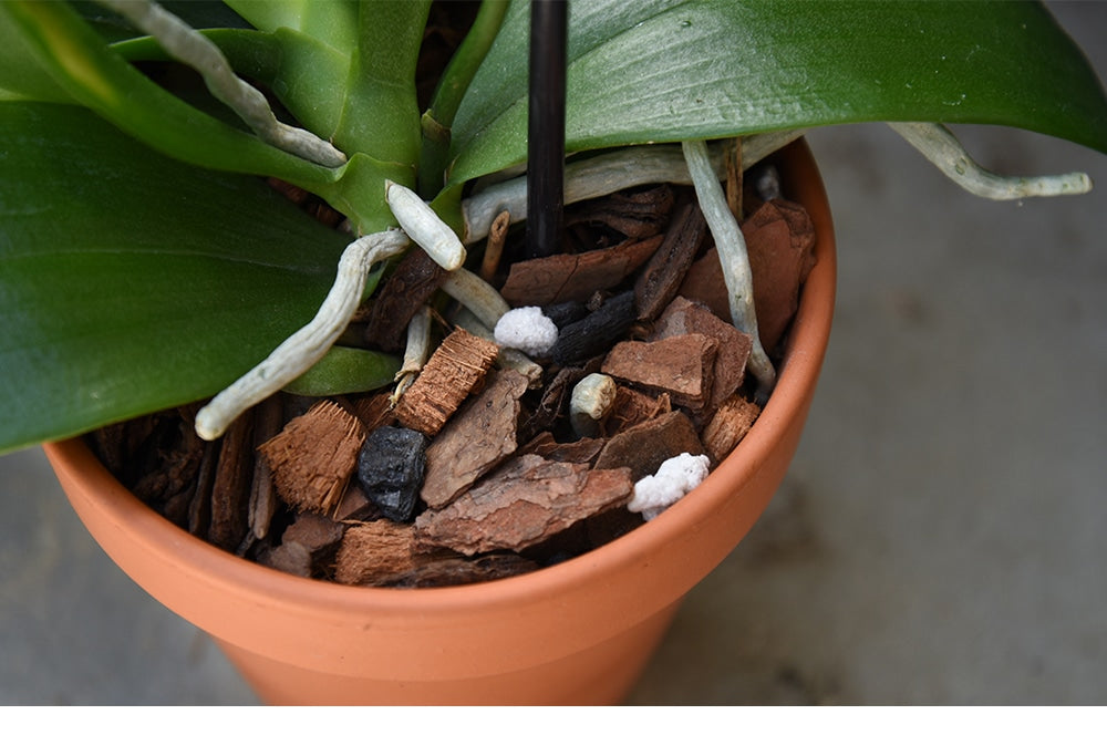 Orchid Soil - Organic Potting Mix - 8 quart