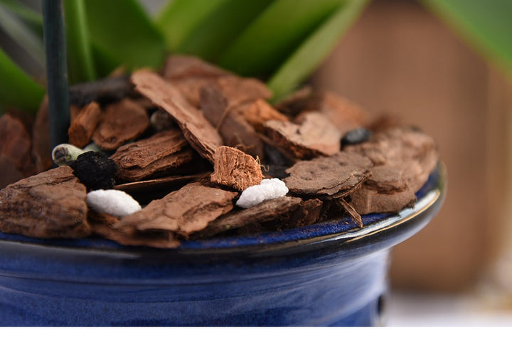 orchid plant soil Organic Orchid Potting Mix for All Orchid Types