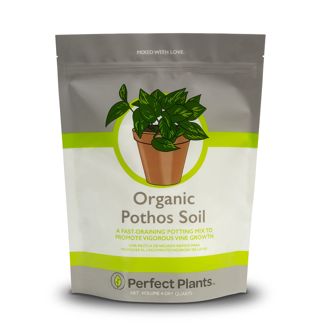 expert gardener potting mix ph level Organic Pothos Soil - 4 Quart