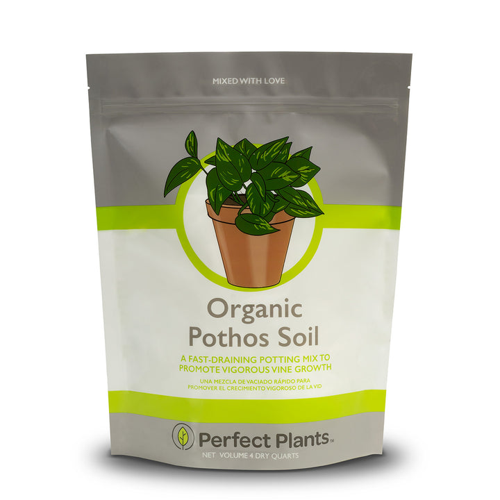 lightweight potting mix Organic Pothos Soil - 4 Quart