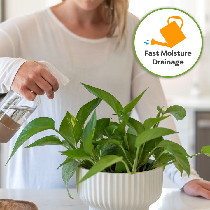 best potting mix for pothos Organic Pothos Soil - 4 Quart