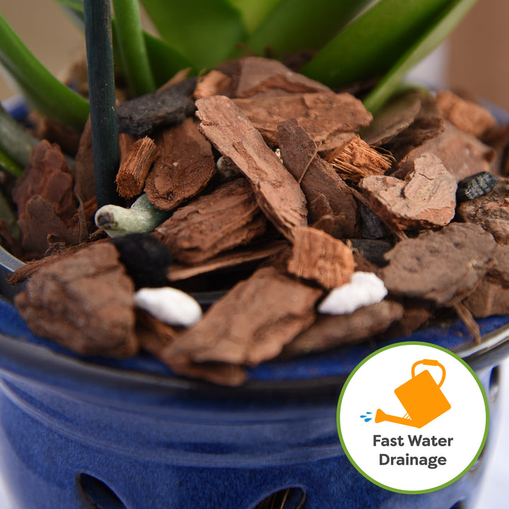 fine fir bark potting mix Premium Orchid Bark Mix - 8 quarts